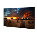 Captura de pantalla 2024-08-21 095510.webp