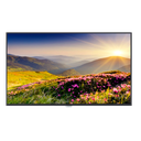 MONITOR LED IPS PROFESIONAL (43") 43UH5J LG