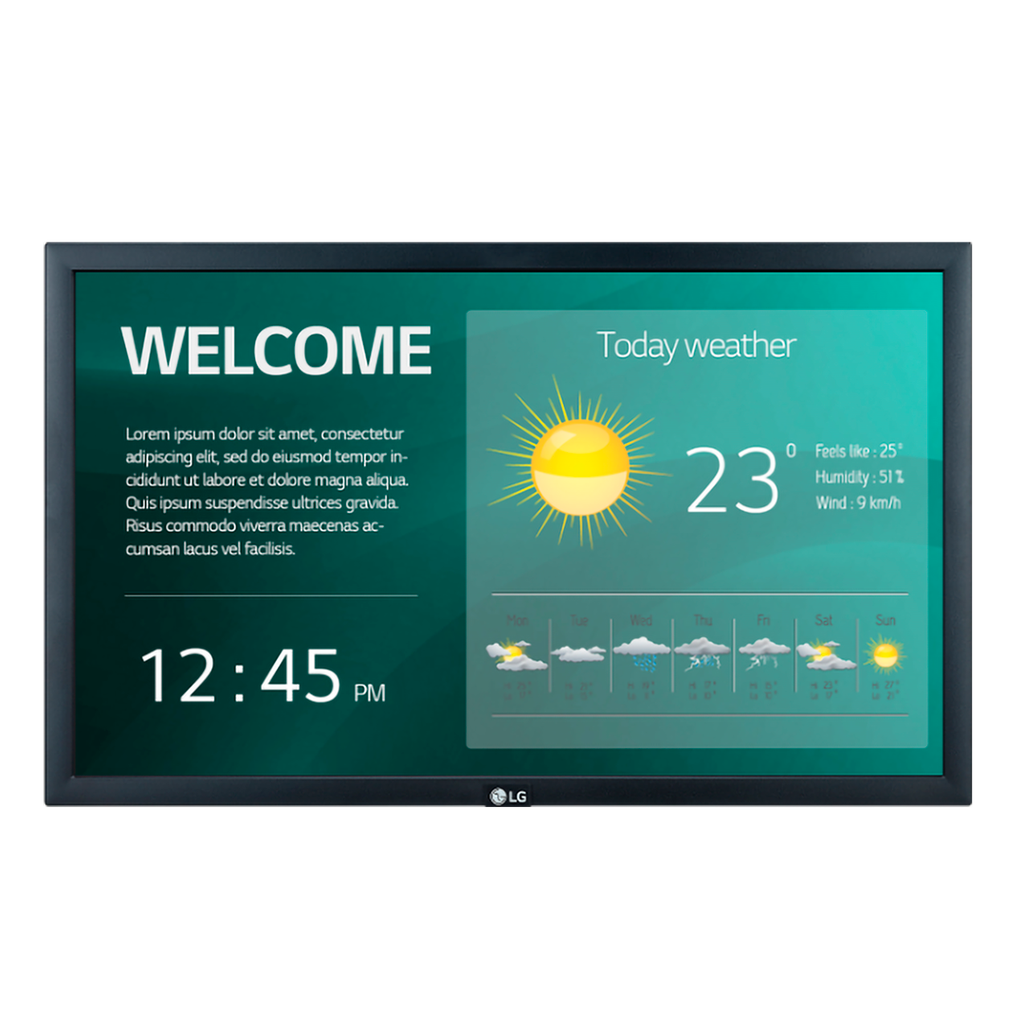 MONITOR LED IPS PROFESIONAL (22") 22SM3G LG