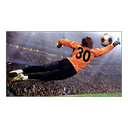 MONITOR PROFESIONAL VIDEOWALL (49") 49VL5G LG