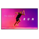 MONITOR LED IPS PROFESIONAL (98") 98UM5J LG