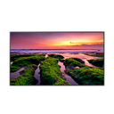 MONITOR PROFESIONAL (50") LH50QBBEBGCXGO SAMSUNG