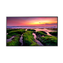 PANTALLA LCD PROFESIONAL (43") LH43QBBEBGCXGO SAMSUNG