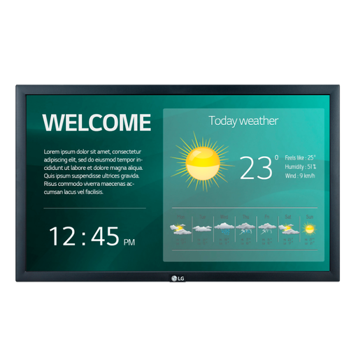 MONITOR LED IPS PROFESIONAL (22") 22SM3G LG